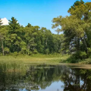 1 dm Ile to centymetrów?